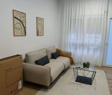 Elche / Elx - Photo 5