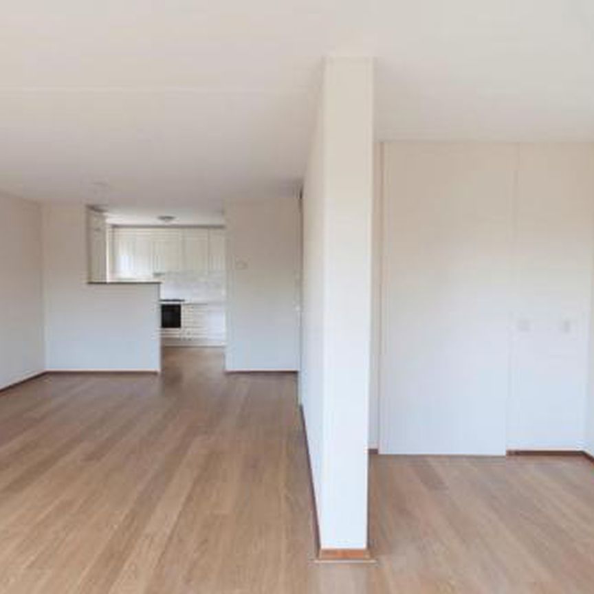 Pharus 1503 EC Zaandam - Photo 1