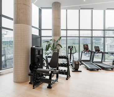 100 Rue Murray, #808 - Photo 5