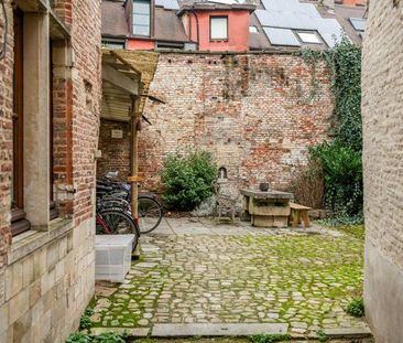 Gezellige beluik-woning op toplocatie - Foto 5