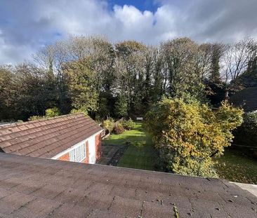 Stanley Avenue, St Helens, WA11 - Photo 4