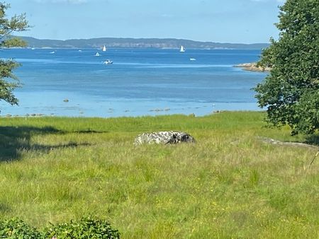 Huvudet, Bohus- Björkö - Photo 4
