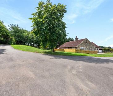 4 bedroom bungalow to rent - Photo 1