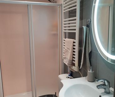 Location Appartement 1 pièce 19m² NICE 06000 - Photo 3