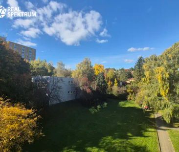 Pronájem krásného a útulného bytu 3+1, 70 m - Photo 6