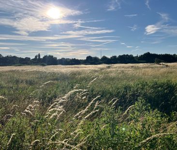 Studio Flat, Sandown Road, SE25 - Photo 2