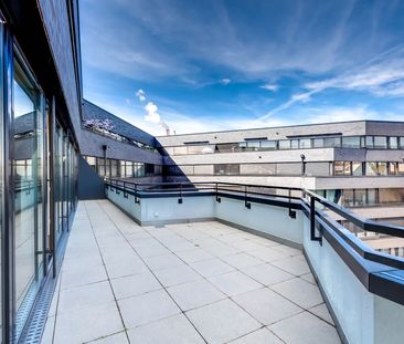 3.5 Zimmer, 143 m², 4. Stock - Foto 5