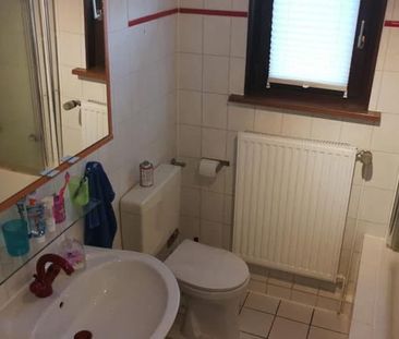 Nachmieter gesucht 3 ZKB in Wolfshagen 80qm gute Lage - Photo 6