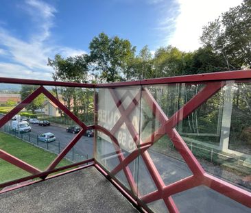 Location Appartement 1 pièce 20m² - Photo 5