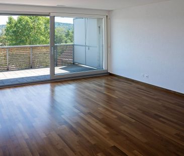 Grenier moderne avec grande terrasse ensoleillée - Photo 1