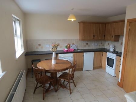 121 Wellesley Avenue - Flat 4, Belfast, BT9 6ND - Photo 3