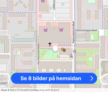 Ekonomstråket, Umeå - Foto 1