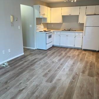 2 bdrm Apartment w/Washer/Dryer in Unit, Top Floor Corner Suite! - Photo 4