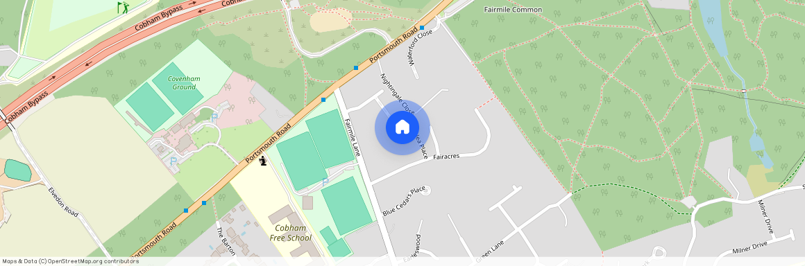 Fernlea Place, KT11 2JS, Cobham