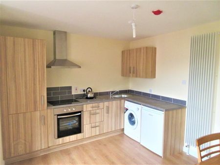 Great Apartment, 101a Rugby Avenue, Queens Quarter, Belfast, BT7 1RE - Photo 5