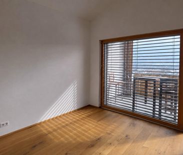 Moderne Wohnung im Grünen - Foto 1