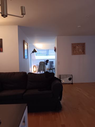 Lilla Brogatan, Borås - Photo 4