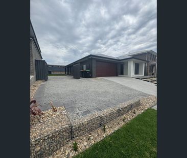 43 Showers Street, Grantham Farm, NSW 2765 - Photo 4
