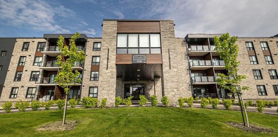 4 1/2 - NEUF - 1er mars 2026 - LÉVIS quartier résidentiel - Photo 2