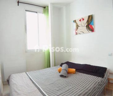 Estudio en alquiler en Puerta del Ángel - Photo 2
