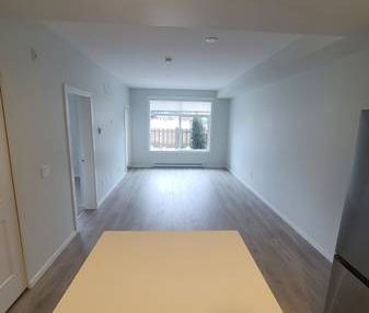 Ground Floor 2 Bed / 2 Bath / 2 Parking Brand New Unit! - Photo 3