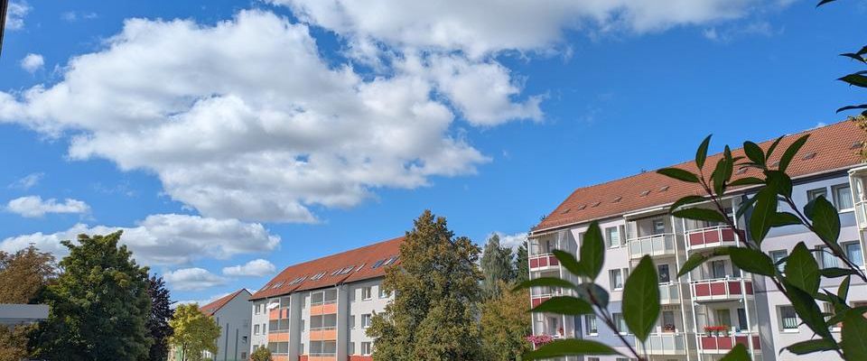 ++ gemütlich wohnen am Hohen Hain – 2-Raum-Wohnung mit Licht, Ruhe & Gemeinschaftsgefühl ++ - Foto 1