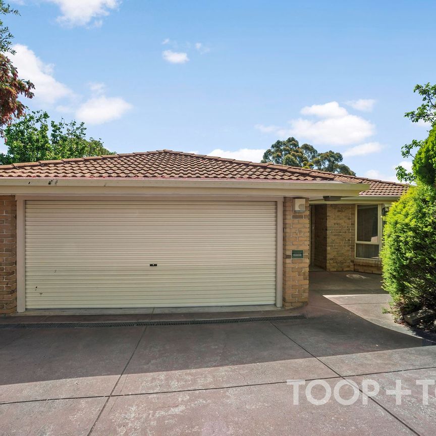 Gorgeous home in quiet tree lined street - Photo 1