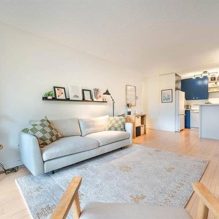 Kitsilano spacious and bright top floor suite- pet friendly - Photo 3