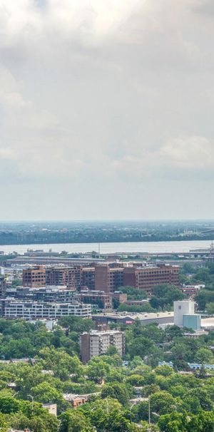 3 1/2 - 4000 De Maisonneuve Blvd. West, Montréal - Photo 2