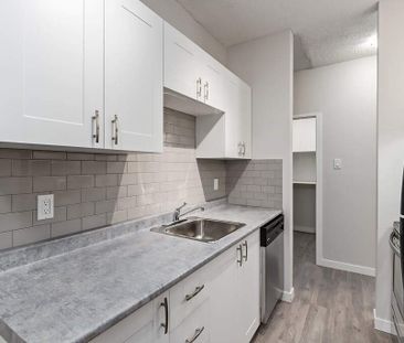 Renovated Suite - 1 Bedroom - Photo 3