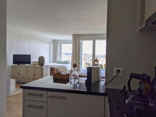 Moderne 1.5-Zimmer-Wohnung im Grünen zu vermieten - Foto 1