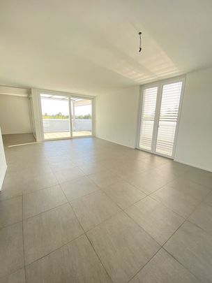 Zentral wohnen in Allschwil / Nähe Neuweilerstrasse - Photo 1