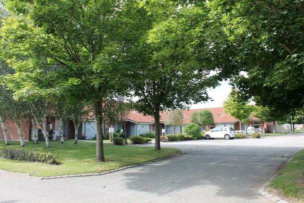Åparken 19-30, 43A-C, 44A-C, Rørbæk - Photo 1