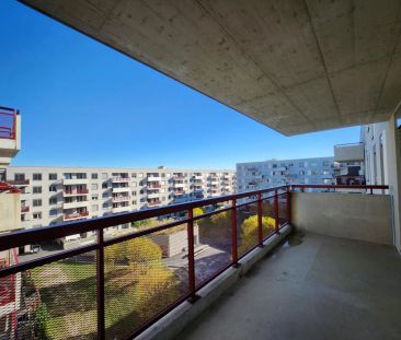 Eggenberger Gürtel 52/05/16 - Foto 1