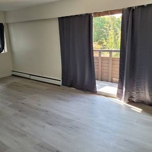 Newly Renovated 1Bed 1 Bath - Photo 2