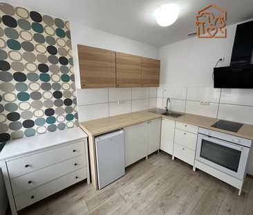 Częstochowa Ostatni Grosz, Bór - Photo 2