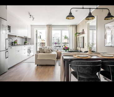 Storseglet, Vega - Foto 3