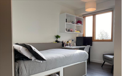 Studio to rent - Photo 5