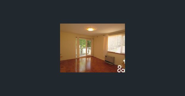 Spacious Light Filled Apartment! - Photo 1