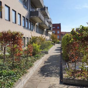 Grynbodgatan 14, Gamla Staden - Foto 2