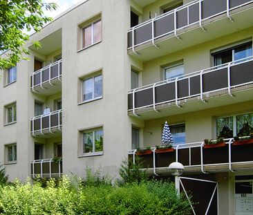 Frisch renovierte 3-Zimmer-Wohnung mit Loggia - Foto 1