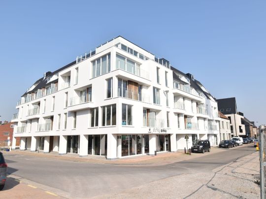 Assistentie appartement op centrale ligging - Foto 1