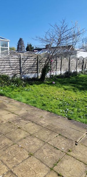 Kings Drive Room 5 - Photo 1