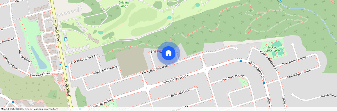 41 Pulpwood Crescent Unit# Main, Richmond Hill