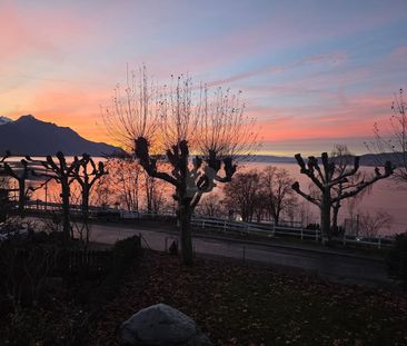 BIEN RÉNOVÉ, STUDIO & VUE UNIQUE - Photo 4