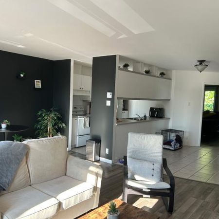 4 1/2 - Lévis - 985 $/mois - Photo 4