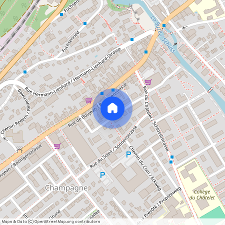 2504, Biel, Chemin Des Grillons / Grillenweg, 13