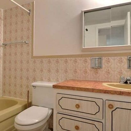 1 CH - 1 SDB - Montréal - $1,350 /mo - Photo 4