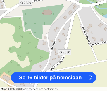 Kyrkliden, Larv - Foto 1