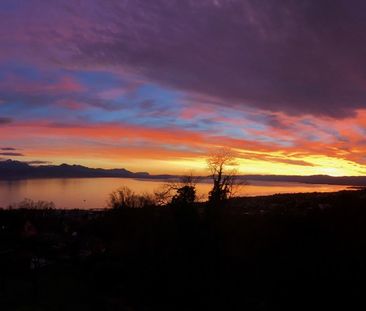 Magnifique villa 7,5 p / 5 chambres / 4 SDB / Terrasse avec jardin - Foto 1